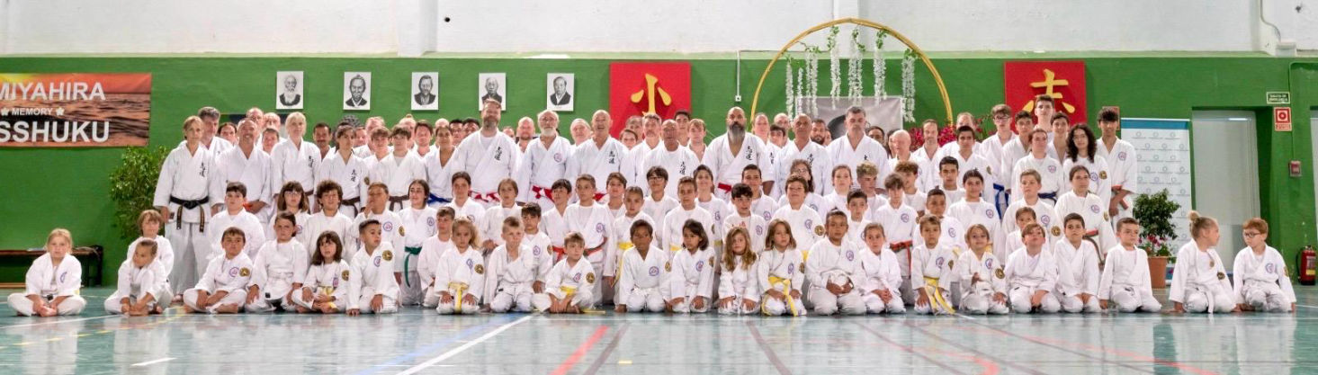 Shirasagi Dojo Original Okinawa Karate in Chemnitz - 1 Monat zum Kennenlernen